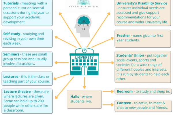 https://www.middletownautism.com/social-media/mind-map-for-starting-university-8-2024