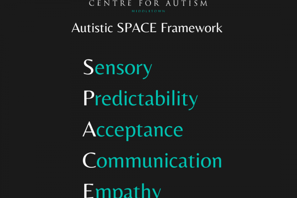 https://www.middletownautism.com/social-media/mca-early-years-foundation-stage-tool-11-2024