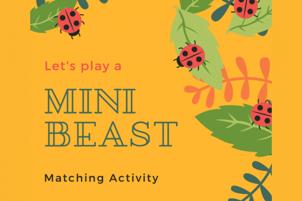 https://www.middletownautism.com/social-media/minibeasts-matching-activity-8-2024-1